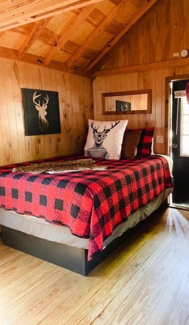 Lodge Lazy Z